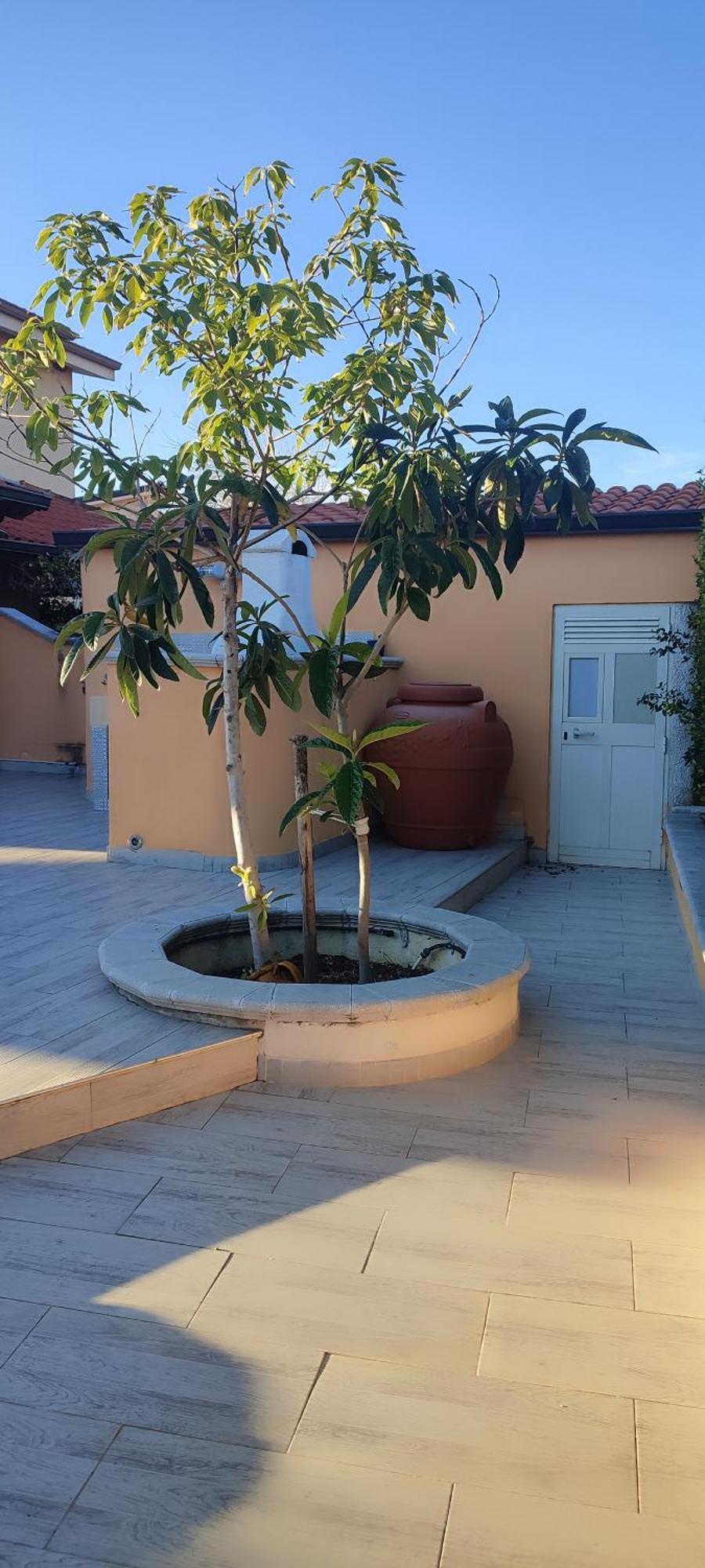 Villetta Aurora Villaggio Porto Ada A 2 Passi Dal Mare Пицо Екстериор снимка